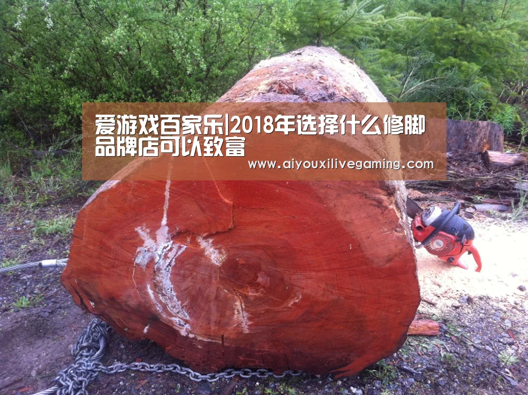 爱游戏百家乐|2018年选择什么修脚品牌店可以致富(图1) 爱游戏电竞