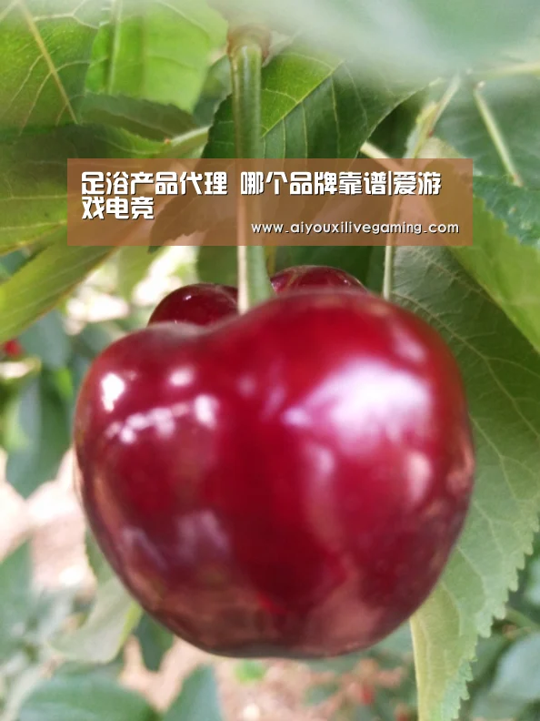 足浴产品代理 哪个品牌靠谱|爱游戏电竞(图1) 爱游戏百家乐