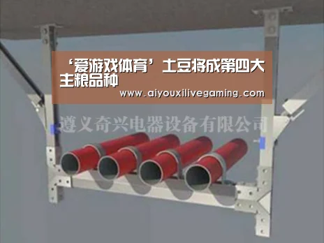 ‘爱游戏体育’土豆将成第四大主粮品种(图1) 爱游戏体育