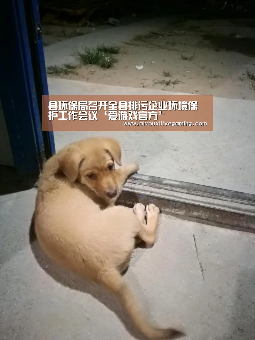 爱游戏官方
