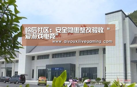 岭后社区:安全隐患整改验收“爱游戏电竞”(图3) 爱游戏电竞