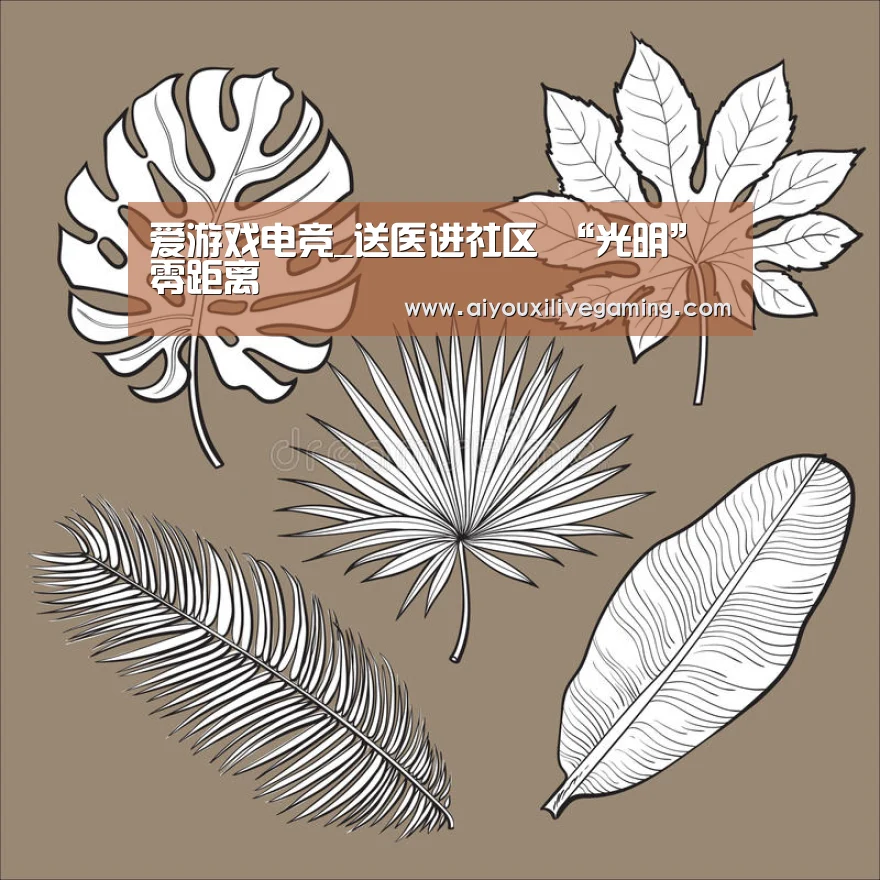 爱游戏电竞