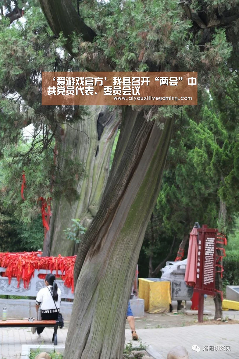 爱游戏官方