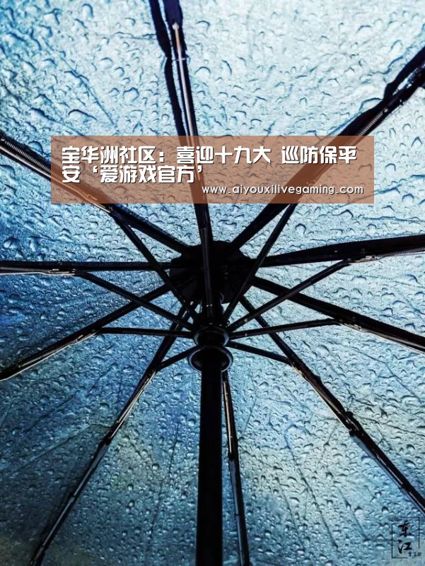 宝华洲社区:喜迎十九大 巡防保平安‘爱游戏官方’(图2) 爱游戏体育