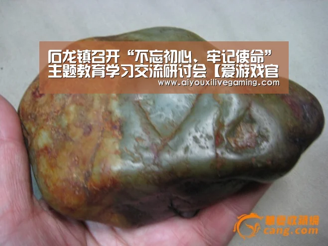 石龙镇召开“不忘初心、牢记使命”主题教育学习交流研讨会【爱游戏官方】(图2) 爱游戏体育