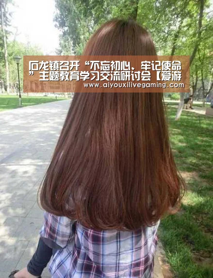 石龙镇召开“不忘初心、牢记使命”主题教育学习交流研讨会【爱游戏官方】(图3) 爱游戏官方