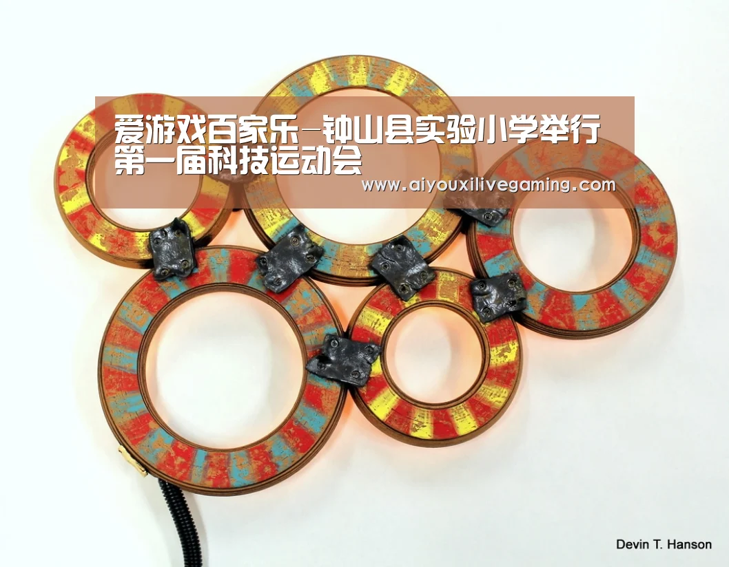 爱游戏百家乐-钟山县实验小学举行第一届科技运动会(图3) 爱游戏电竞