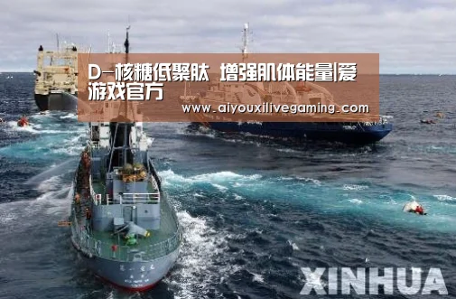 D-核糖低聚肽 增强肌体能量|爱游戏官方(图2) 爱游戏百家乐